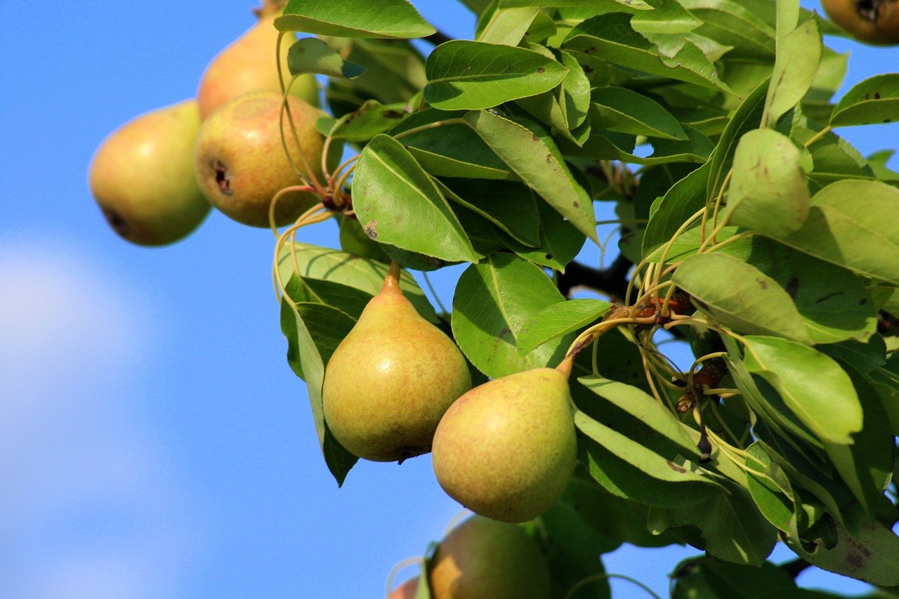 banner-img